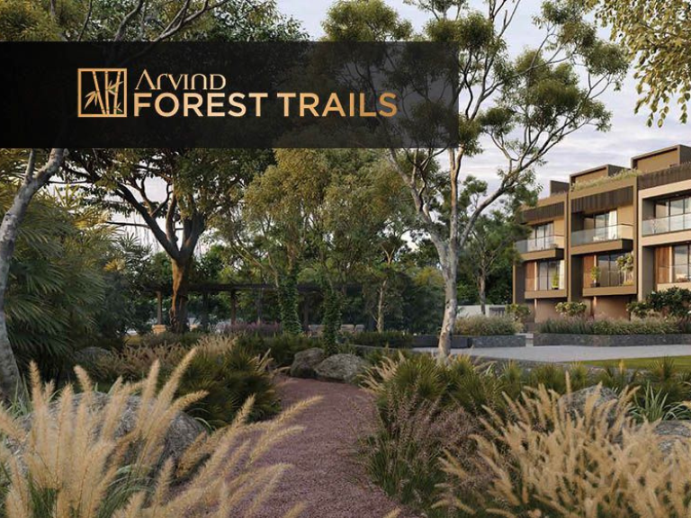  Arvind Forest Trails 